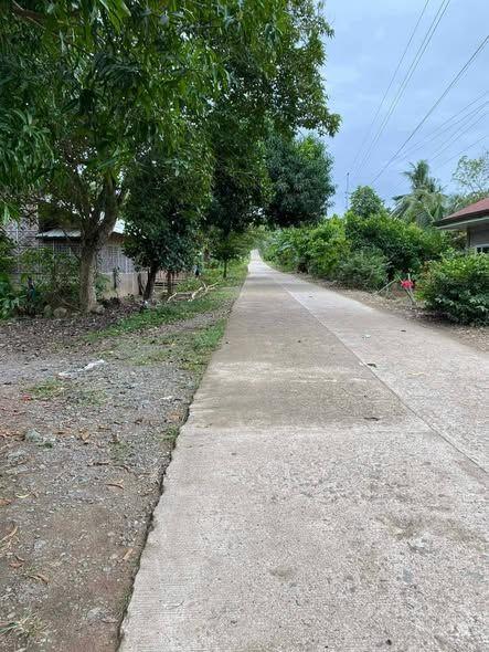 Residential Lot in Talibon, Bohol - 867 sqm with Clean Title near Bung Aw Eco Farm