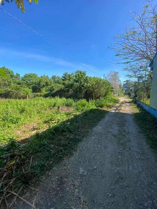 Residential Lot in Looc, Panglao - 300 sqm Corner Lot Near Airport & Beach