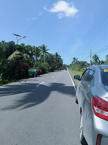 Highway-Fronting Land Lot in Catigbian - 3,832 sqm - 1.9M