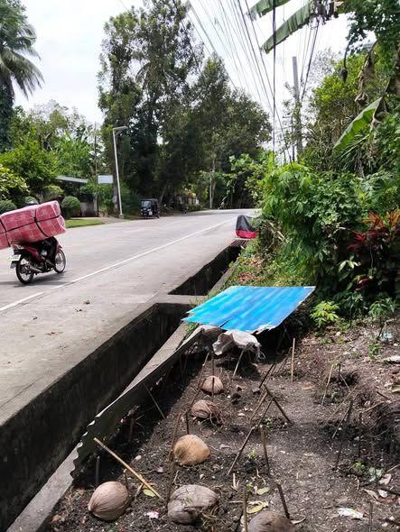 Highway-Facing Titled Lot in Loay - 1.126 Hectare - Negotiable